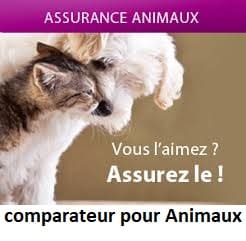 assurance animaux