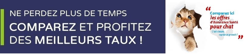 mutuelle pour chat